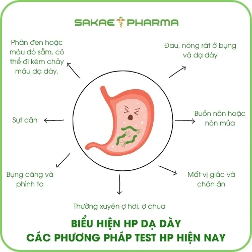 Biểu hiện hp dạ dày | Các phương pháp test hp hiện nay