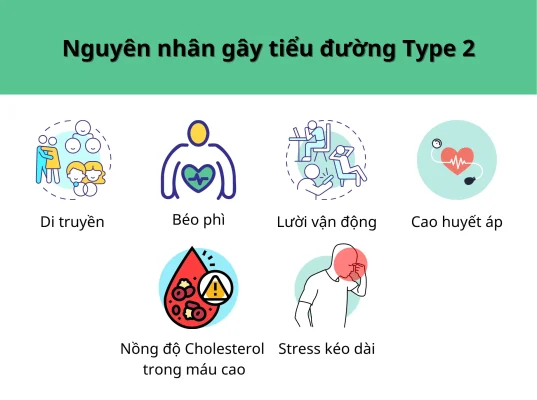 Nguyên nhân gây tiểu đường Type 2