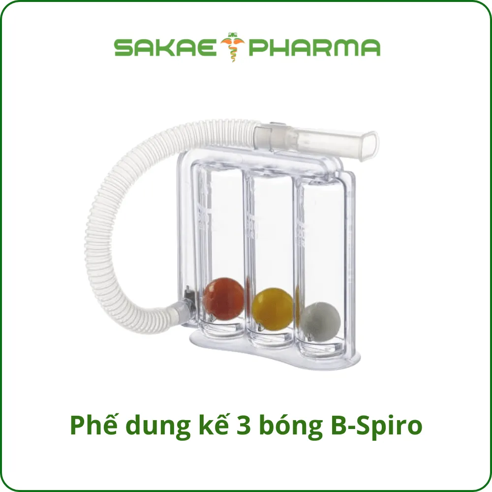 Phế dung kế