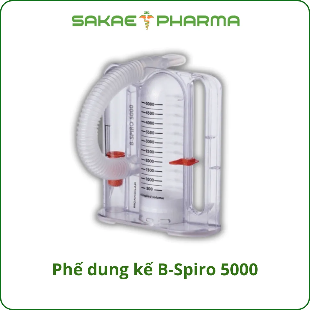 Phế dung kế