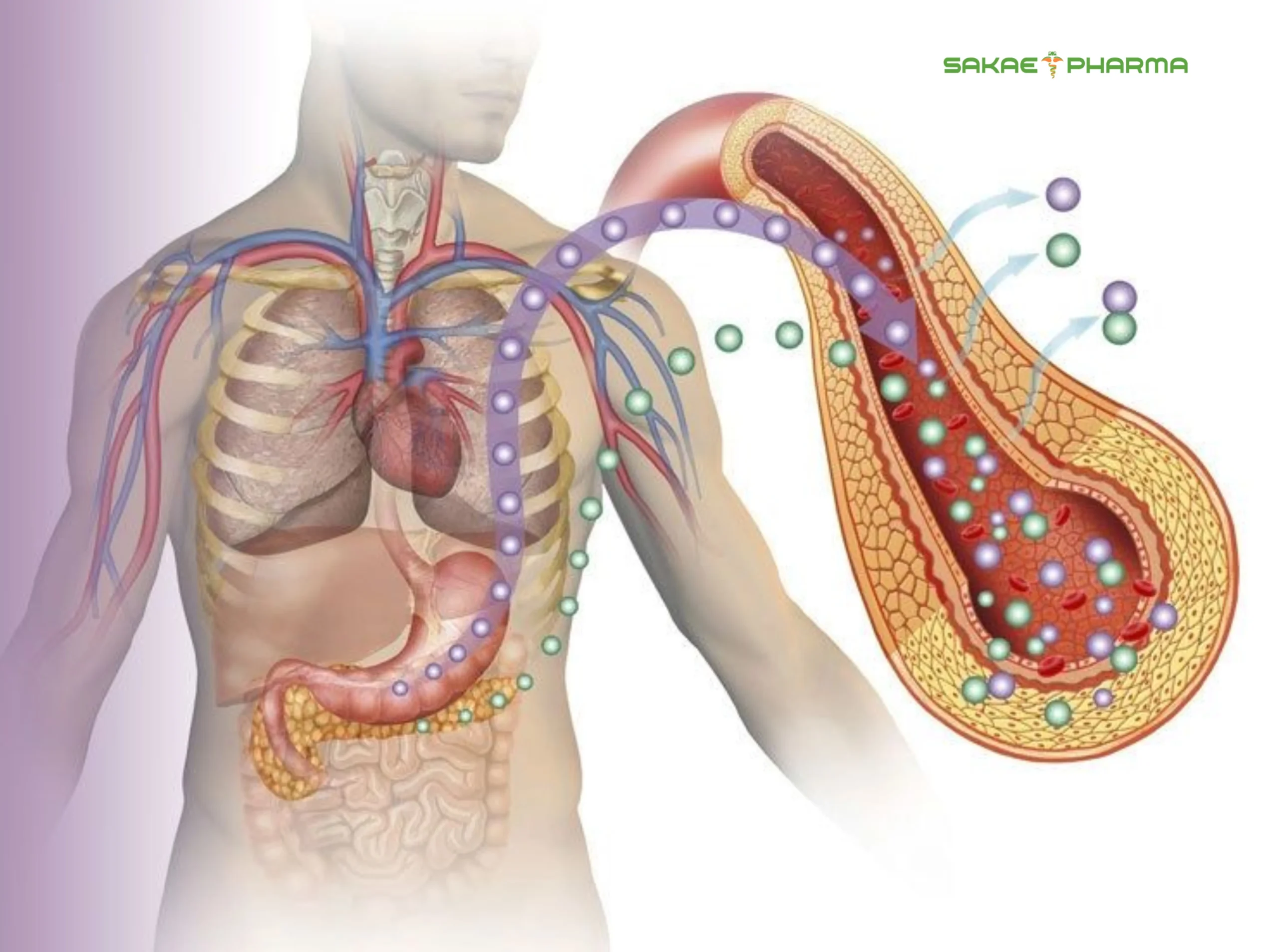 nguyên nhân gây ra bệnh tiểu đường