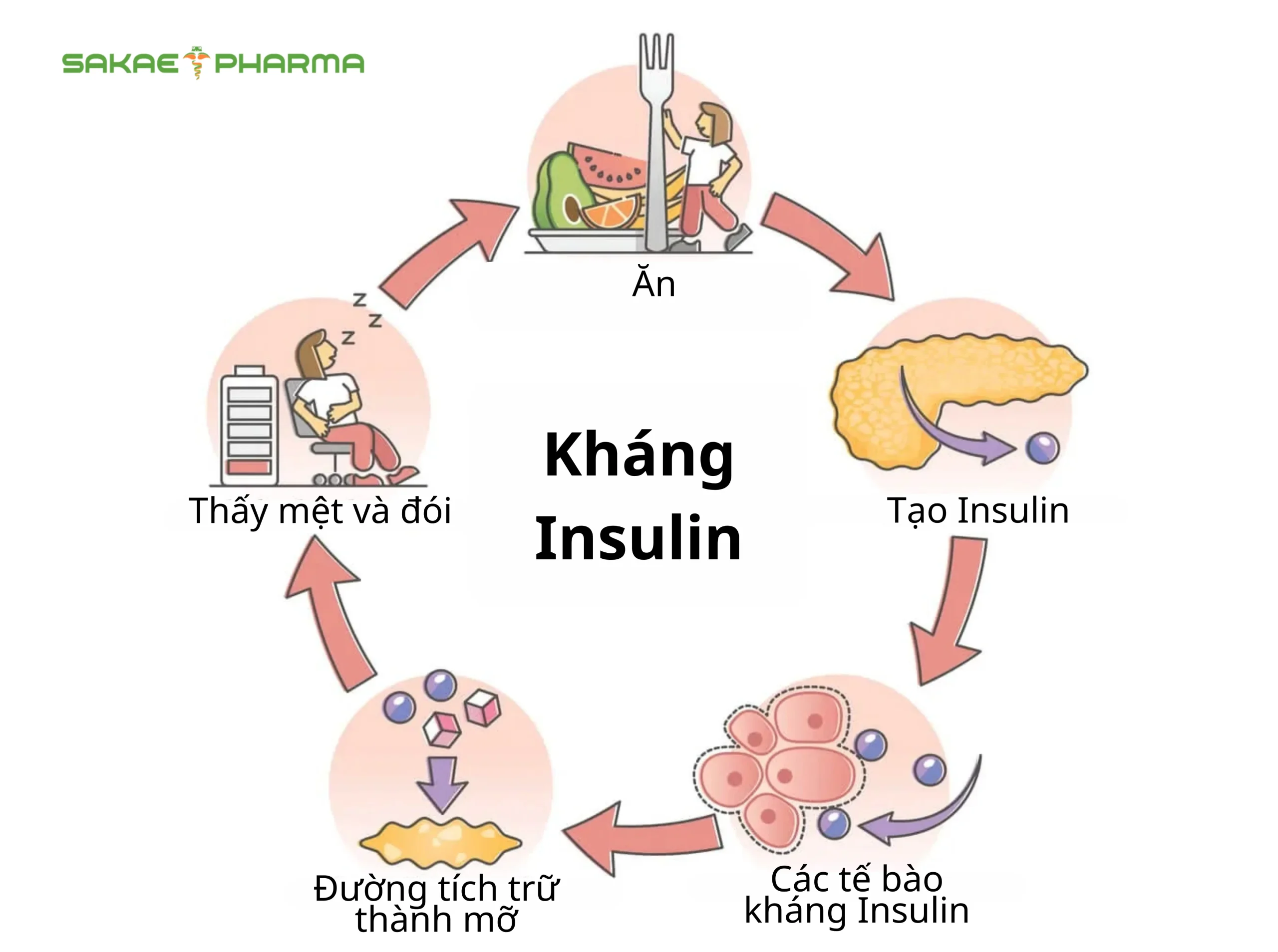 đề kháng insulin là gì