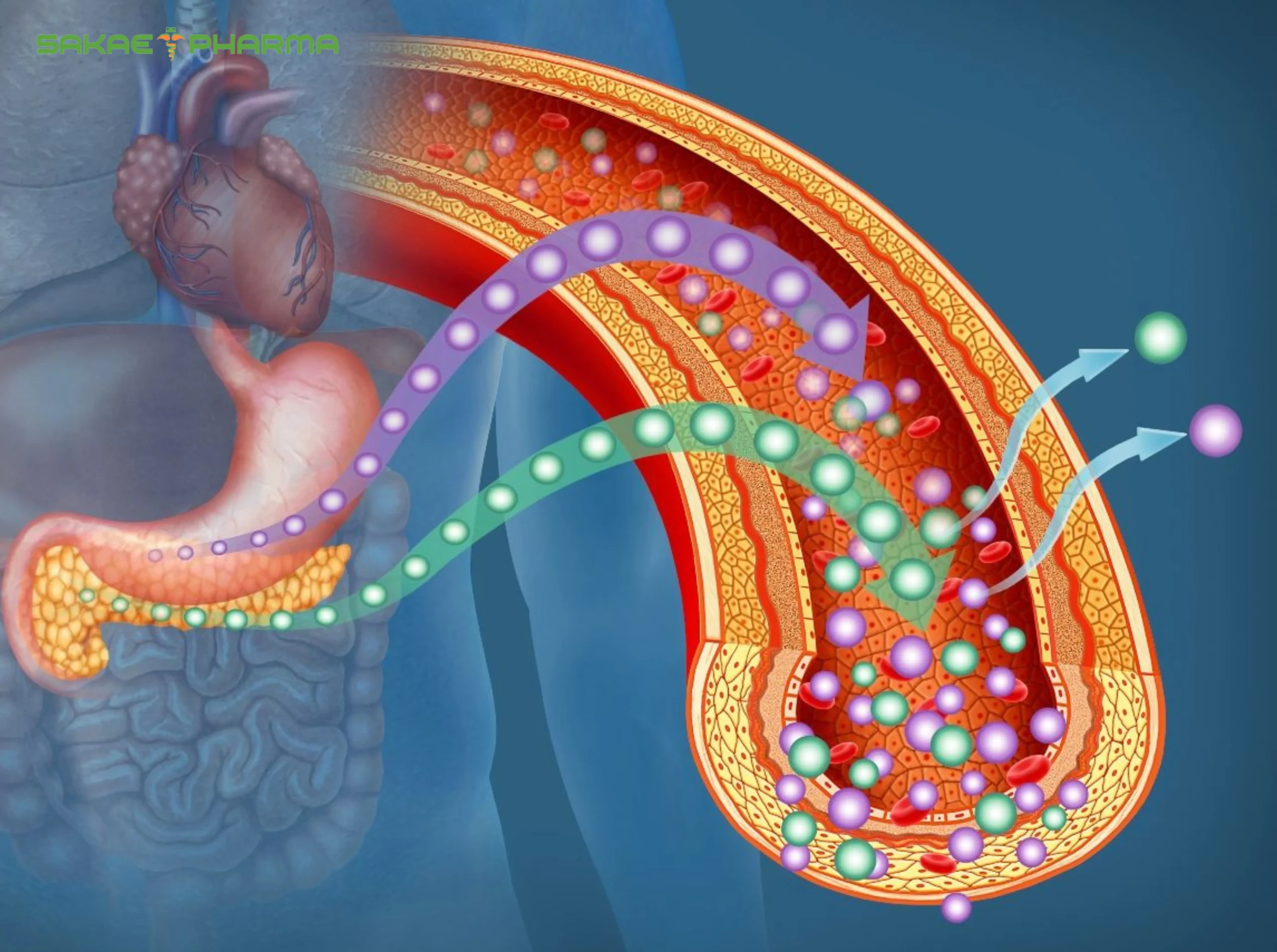 đề kháng insulin là gì
