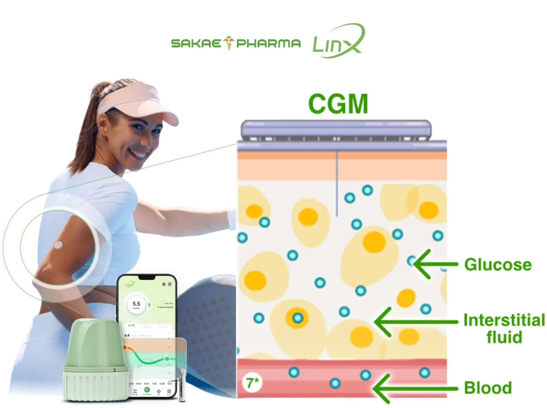 dịch kẽ là gì