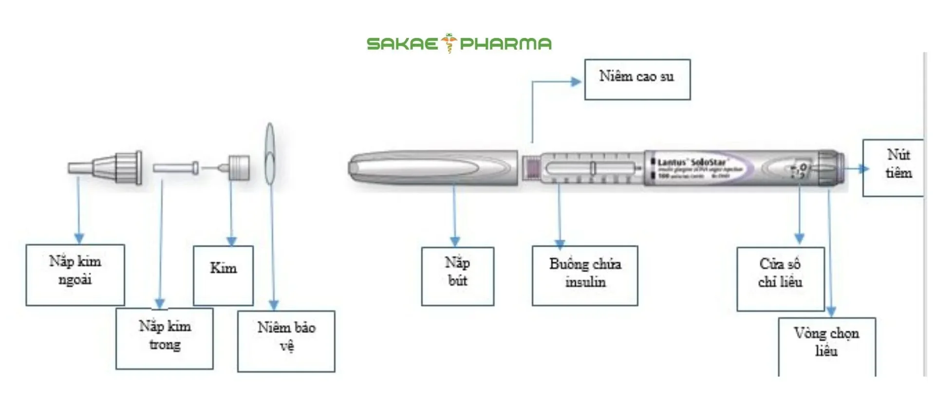 cấu tạo bút tiêm insulin