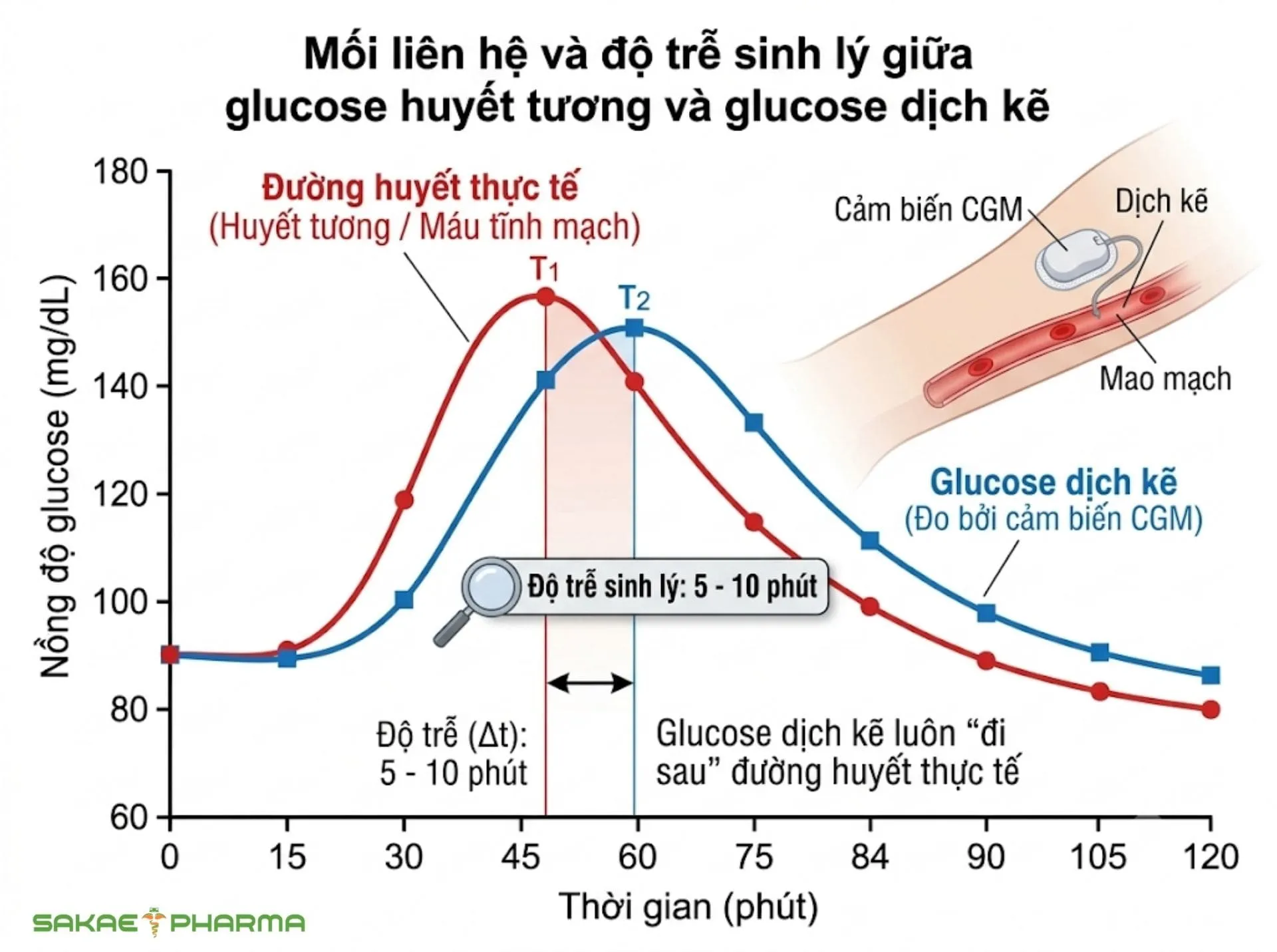 dịch kẽ là gì