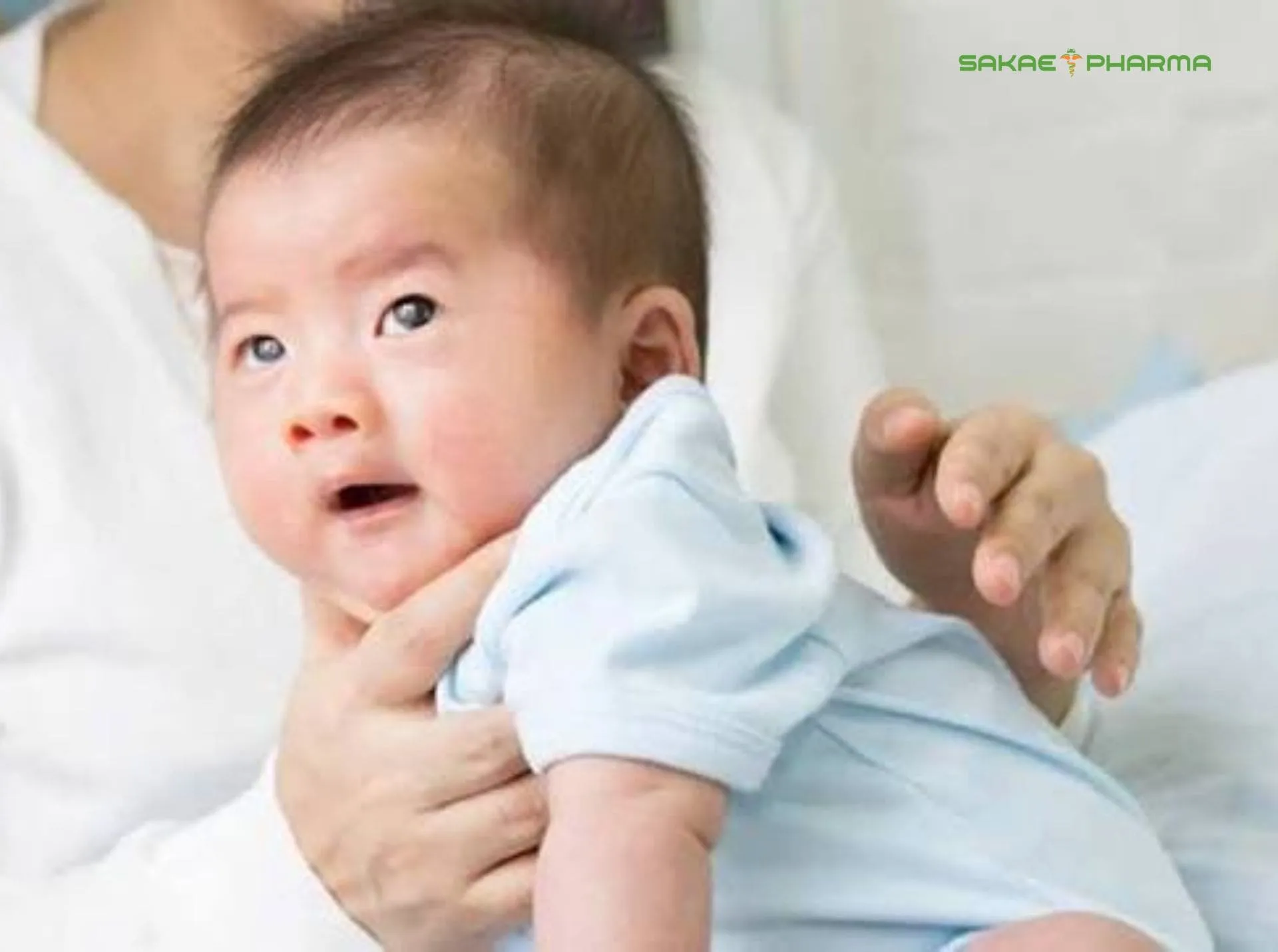 Vỗ rung long đờm là gì
