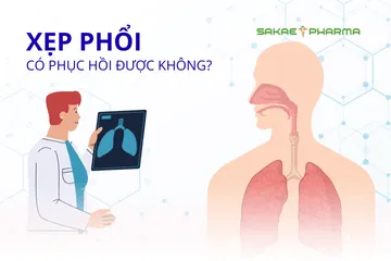 Xẹp phổi có phục hồi được không? Giải đáp và hướng điều trị hiệu quả