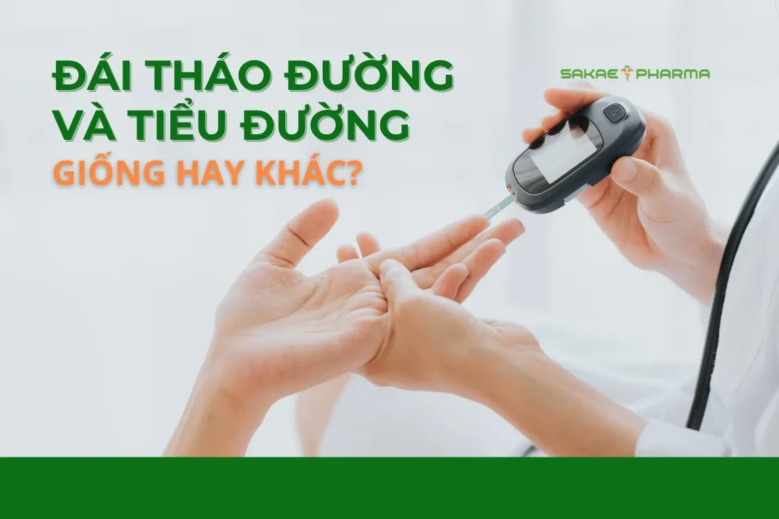 Giải đáp: Đái tháo đường có phải tiểu đường không? Hướng dẫn cách đọc chỉ số xét nghiệm đường huyết đúng cách