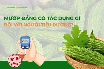 mướp đắng có tác dụng gì