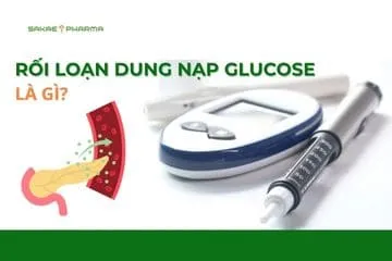 Rối Loạn Dung Nạp Glucose Là Gì? Dấu Hiệu, Chỉ Số Chẩn Đoán Và Cách Kiểm Soát Hiệu Quả
