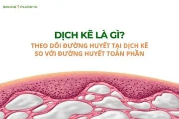 dịch kẽ là gì