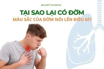 tại sao lại có đờm
